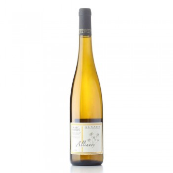 Marc Tempé Alliance De Zellenberg 2016