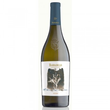Tamarix 2023 Orange Wine