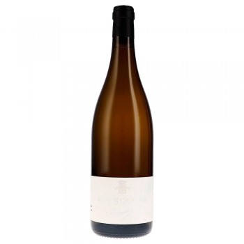 Bourgogne Blanc 2022 Domaine Trapet
