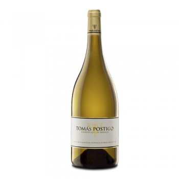 Tomás Postigo Verdejo 2023