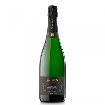 Recaredo Terres Brut Nature Gran Reserva 2019